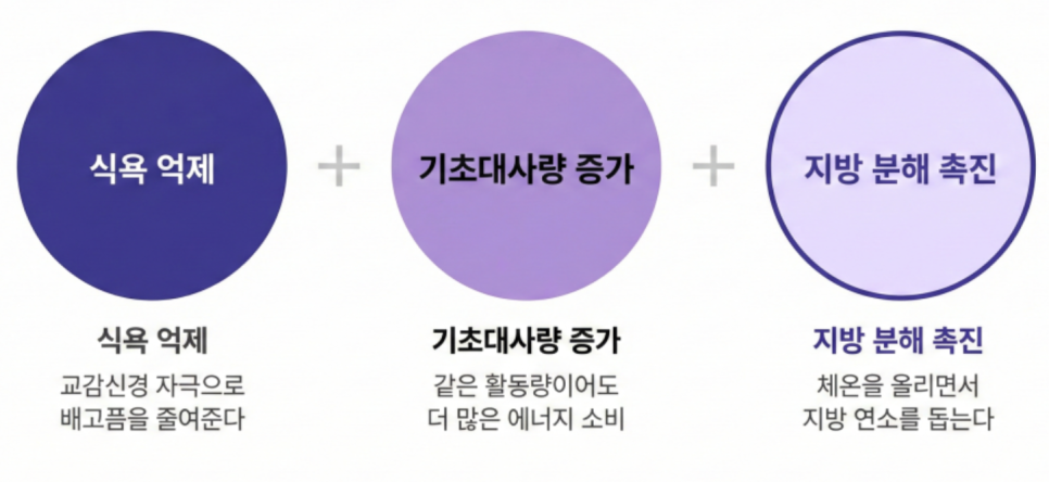 [덕은동 다이어트 한의원] 다이어트 한약 부작용, 실제로 괜찮을까요?