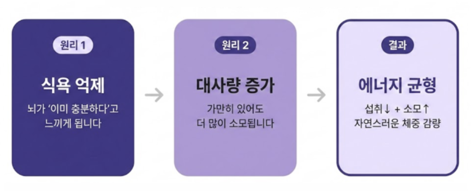 [덕은동 다이어트 한의원] 다이어트 한약, 왜 살이 빠지는 걸까요?