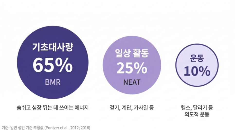 [덕은동 다이어트 한의원] 운동 열심히 하는데 살이 안 빠진다면, 이 글을 확인해주세요