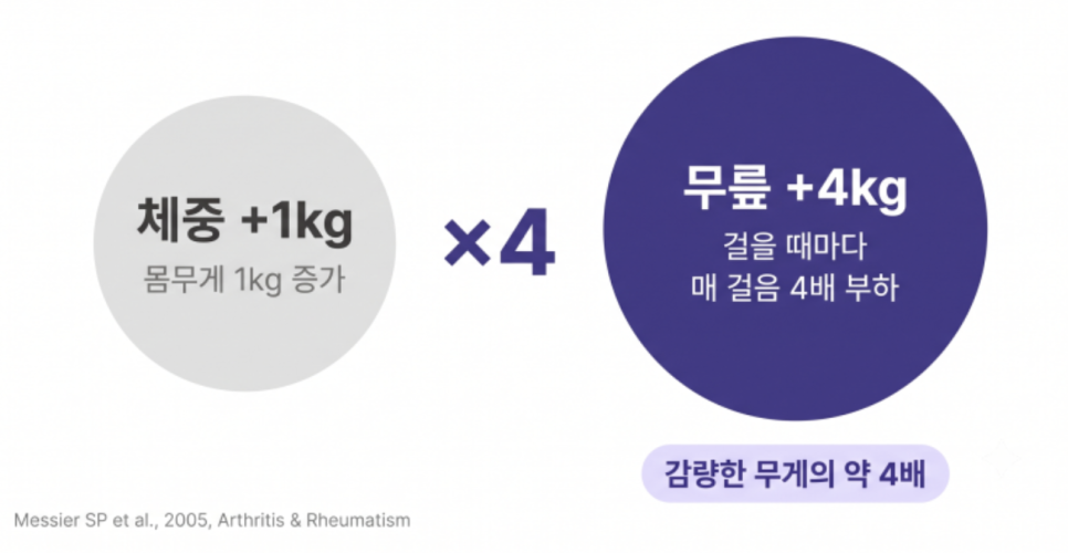 [덕은동 다이어트 한의원] 무릎, 허리가 자꾸 아프다면 체중부터 점검하셔야 합니다