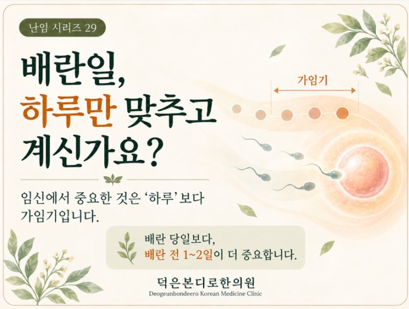 [고양시 덕양구 난임한의원] 배란일, 제대로 잡고 계신가요? — 배란테스트기와 배란 신호 읽는 법